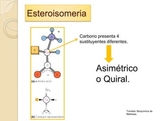 Esteroisomeria

            Carbono presenta 4
            sustituyentes diferentes.




                    Asimétrico
                    o Quiral.


                                    Tomado: Bioquímica de
                                    Mathews.
 