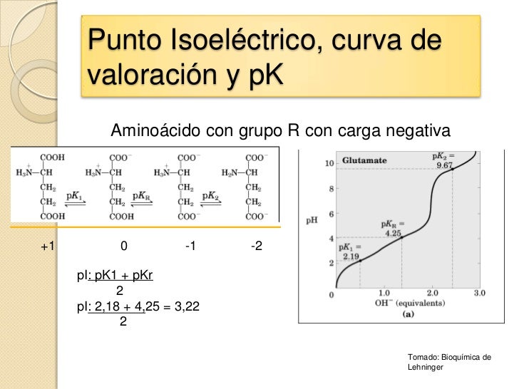 Aminoacidos (1) Aminoacidos (1)