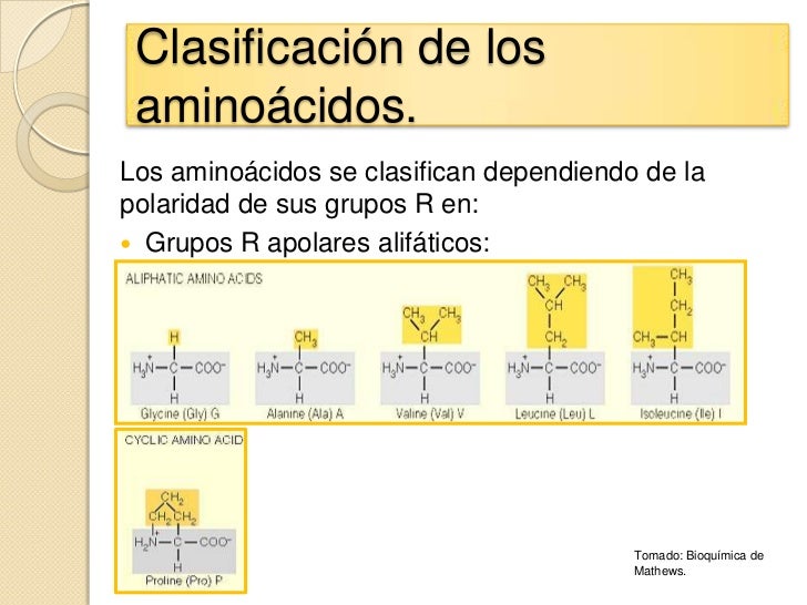 Aminoacidos (1)
