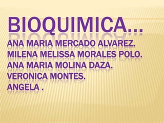 BIOQUIMICA…
ANA MARIA MERCADO ALVAREZ.
MILENA MELISSA MORALES POLO.
ANA MARIA MOLINA DAZA.
VERONICA MONTES.
ANGELA .
 