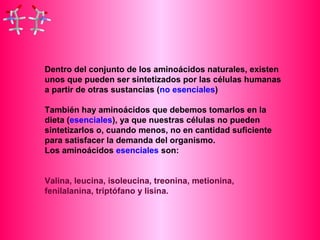 Dentro del conjunto de los aminoácidos naturales, existen 
unos que pueden ser sintetizados por las células humanas 
a partir de otras sustancias (no esenciales) 
También hay aminoácidos que debemos tomarlos en la 
dieta (esenciales), ya que nuestras células no pueden 
sintetizarlos o, cuando menos, no en cantidad suficiente 
para satisfacer la demanda del organismo. 
Los aminoácidos esenciales son: 
Valina, leucina, isoleucina, treonina, metionina, 
fenilalanina, triptófano y lisina. 
 