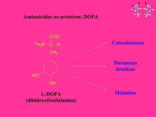Aminoácidos no proteicos: DOPA 
COO- 
+H3N C 
H 
CH2 
OH 
HO 
L-DOPA 
(dihidroxifenilalanina) 
Catecolaminas 
Hormonas 
tiroideas 
Melanina 
 