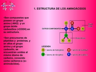 •Son compuestos que 
poseen un grupo 
amino (-NH2) y un 
grupo ácido 
carboxílico (-COOH) en 
su estructura. 
•Son precursores de 
péptidos y proteínas, y 
en ellos el grupo 
amino y el grupo 
carboxilo, se 
encuentran unidos al 
mismo átomo de 
carbono, conocido 
como carbono-a (a- 
aminoácidos). 
1. ESTRUCTURA DE LOS AMINOÁCIDOS 
 