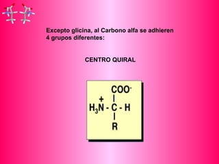 Excepto glicina, al Carbono alfa se adhieren 
4 grupos diferentes: 
CENTRO QUIRAL 
 