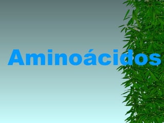 Aminoácidos
 