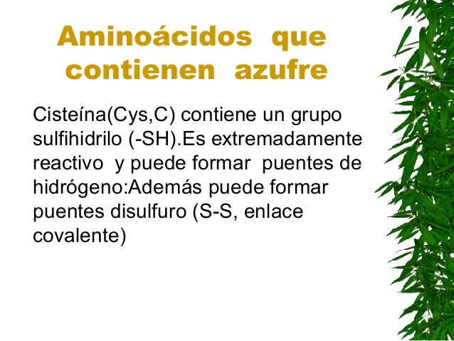 Aminoácidos
