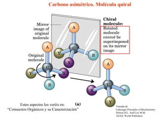 Carbono asimétrico. Molécula quiral




      Estos aspectos los veréis en:                 Tomada de
“Comuestos Orgánicos y su Caracterización”          Lehninger Principles of Biochemistry
                                                    Nelson D.L. And Cox M.M..
                                                    3rd Ed. Worth Publishers
 