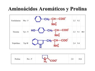 Aminoácidos Aromáticos y Prolina

 Fenilalanina   Phe - F         2.2   9.2




  Tirosina      Tyr - Y         2.2   9.1   10.1




 Triptófano     Trp-W           2.4   9.4




     Prolina        Pro - P   2.0      10.6
 