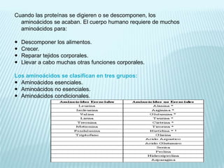 Cuando las proteínas se digieren o se descomponen, los 
aminoácidos se acaban. El cuerpo humano requiere de muchos 
aminoácidos para: 
 Descomponer los alimentos. 
 Crecer. 
 Reparar tejidos corporales. 
 Llevar a cabo muchas otras funciones corporales. 
Los aminoácidos se clasifican en tres grupos: 
 Aminoácidos esenciales. 
 Aminoácidos no esenciales. 
 Aminoácidos condicionales. 
 