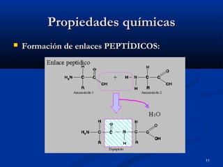 11
Propiedades químicasPropiedades químicas
 Formación de enlaces PEPTÍDICOS:Formación de enlaces PEPTÍDICOS:
 