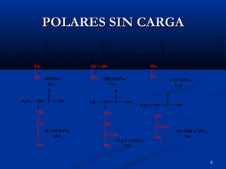 5
POLARES SIN CARGAPOLARES SIN CARGA
H2N CH C
CH2
OH
O
OH
H2N CH C
CH
OH
O
OH
CH3
H2N CH C
CH2
OH
O
SH
H2N CH C
CH2
OH
O
CH2
C
NH2
O
H2N CH C
CH2
OH
O
C
NH2
O
SERINA
Ser
TREONINA
Tre
CISTEÍNA
Cys
GLUTAMINA
Gln
ASPARRAGINA
Asn
H2N CH C
CH2
OH
O
CH2
S
CH3
METIONINA
Met
 