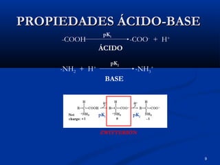 9
PROPIEDADES ÁCIDO-BASEPROPIEDADES ÁCIDO-BASE
-COOH -COO-
+ H+
ÁCIDO
pK1
-NH2 + H+
-NH3
+
BASE
pK2
ZWITTERIÓN
pK1 pK2
 