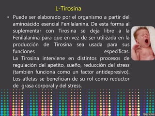 L-Tirosina
• Puede ser elaborado por el organismo a partir del
aminoácido esencial Fenilalanina. De esta forma al
suplementar con Tirosina se deja libre a la
Fenilalanina para que en vez de ser utilizada en la
producción de Tirosina sea usada para sus
funciones
específicas.
La Tirosina interviene en distintos procesos de
regulación del apetito, sueño, reducción del stress
(también funciona como un factor antidepresivo).
Los atletas se benefician de su rol como reductor
de  grasa corporal y del stress.

 