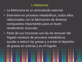 L-Metionina
• La Metionina es un aminoácido esencial.
• Interviene en procesos metabólicos, todos ellos
relacionados con la fabricación de diversos
compuestos importantes para un buen
rendimiento muscular.
• Parte de sus funciones son las de remover del
hígado residuos de procesos metabólicos,
ayudar a reducir las grasas y a evitar el depósito
de grasas en arterias y en el hígado.

 