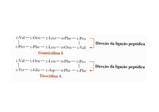 Aminoacidosepeptideos