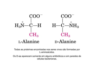 Todas as proteínas encontradas nos seres vivos são formadas por
L-aminoácidos.
Os D-aa aparecem somente em alguns antibióticos e em paredes de
células bacterianas.
 