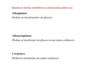 Quanto ao destino metabólico os aminoácidos podem ser:
Glicogênicos
Glicocetogênicos
 