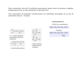 Outros aminoácidos, além dos 20 codificados geneticamente, podem ocorrer em proteínas e peptídeos
biologicamente ativos, ou como aminoácidos ou derivados livres.
Esses aminoácidos são produzidos enzimaticamente, por modificação pós-tradução de um dos 20
aminoácidos clássicos. Exemplos:
eurotransmissores:
- GABA (Ác.γ-aminobutírico)
-OOC-CH2-CH2-CH2- NH3
+
- 3-hidroxi-prolina
- 4 hidroxi-prolina
(colágeno)
- 3-metil-histidina (actina)
- Ac. γ-carboxi-glutâmico
(protrombina e fatores da
coagulação)
- Glutamato
-OOC-CH2-CH2-CH- COO-
NH3
+
l
 