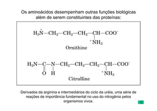 Os aminoácidos desempenham outras funções biológicas
além de serem constituintes das proteínas:
Derivados da arginina e intermediários do ciclo da uréia, uma série de
reações de importância fundamental no uso do nitrogênio pelos
organismos vivos.
 
