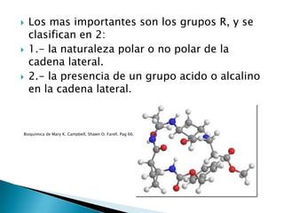    Los mas importantes son los grupos R, y se
    clasifican en 2:
   1.- la naturaleza polar o no polar de la
    cadena lateral.
   2.- la presencia de un grupo acido o alcalino
    en la cadena lateral.



Bioquímica de Mary K. Campbell, Shawn O. Farell. Pag 66.
 