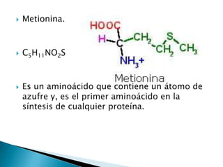    Metionina.



   C5H11NO2S



   Es un aminoácido que contiene un átomo de
    azufre y, es el primer aminoácido en la
    síntesis de cualquier proteína.
 