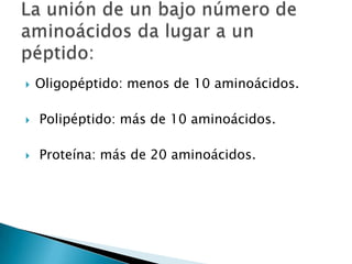    Oligopéptido: menos de 10 aminoácidos.

   Polipéptido: más de 10 aminoácidos.

   Proteína: más de 20 aminoácidos.
 