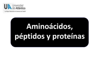Aminoácidos,
péptidos y proteínas
 