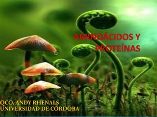 QCO. ANDY RHENALS
UNIVERSIDAD DE CÓRDOBA
 