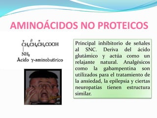 AMINOÁCIDOS NO PROTEICOS
Principal inhibitorio de señales
al SNC. Deriva del ácido
glutámico y actúa como un
relajante natural. Analgésicos
como la gabampentina son
utilizados para el tratamiento de
la ansiedad, la epilepsia y ciertas
neuropatías tienen estructura
similar.
 
