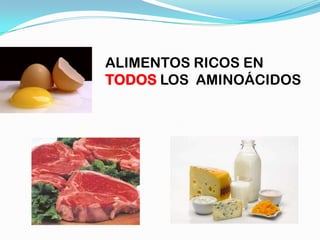 ALIMENTOS RICOS EN
TODOS LOS AMINOÁCIDOS
 