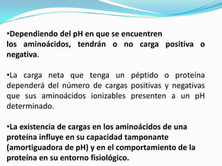 •Dependiendo del pH en que se encuentren
los aminoácidos, tendrán o no carga positiva o
negativa.
•La carga neta que tenga un péptido o proteína
dependerá del número de cargas positivas y negativas
que sus aminoácidos ionizables presenten a un pH
determinado.
•La existencia de cargas en los aminoácidos de una
proteína influye en su capacidad tamponante
(amortiguadora de pH) y en el comportamiento de la
proteína en su entorno fisiológico.
 