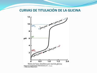CURVAS DE TITULACIÓN DE LA GLICINA
Moles de base añadidos por mol de glicina
(Voet)
 