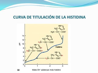 CURVA DE TITULACIÓN DE LA HISTIDINA
 