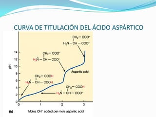 CURVA DE TITULACIÓN DEL ÁCIDO ASPÁRTICO
 