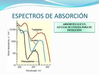 ESPECTROS DE ABSORCIÓN
ABSORVEN LUZ UV,
LO CUAL SE UTILIZA PARA SU
DETECCIÓN
 