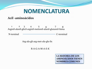 NOMENCLATURA
Acil -aminoácidos
LA MAYORIA DE LOS
AMINOÁCIDOS TIENEN
NOMBRES COMUNES
Arginil-alanil-glicil-arginil-metionil-alanil-glutamil-lisina
1 2 3 4 5 6 7 8
N-terninal C-terminal
Arg-ala-gli-arg-met-ala-glu-lis
R-A-G-A-M-A-E-K
 