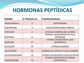 HORMONAS PEPTÍDICAS
NOMBRE N° RESIDUOS AA FUNCIÓN BIOLÓGICA
ANGIOTENSINA II 8 HIPERTENSORA
VASOPRESINA 9 REGULACIÓN BALANCE HÍDRICO
OXITOCINA 9 ESTIMULA CONTRACCIÓN UTERINA
GASTRINA I 17
ESTIMULA SECRECIÓN DE HCl EN EL
ESTOMAGÓ
SECRETINA 27
ESTIMULA SECRECIÓN DE JUGO
PANCREÁTICO
GLUCAGÓN 29 HIPERGLUCEMIANTE
CALCITONINA 32 DISMINUYE EL NIVEL DE Ca EN LA SANGRE
COLECISTOQUININA 33 ESTIMULA SECRECIÓN DE VESICULA BILIAR
PANCREOZININA 33
ESTIMULA SECRECIÓN DE ENZIMAS
PANCREÁTICAS
 
