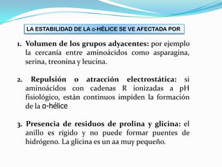 LA ESTABILIDAD DE LA α-HÉLICE SE VE AFECTADA POR
1. Volumen de los grupos adyacentes: por ejemplo
la cercanía entre aminoácidos como asparagina,
serina, treonina y leucina.
2. Repulsión o atracción electrostática: si
aminoácidos con cadenas R ionizadas a pH
fisiológico, están continuos impiden la formación
de la α-hélice
3. Presencia de residuos de prolina y glicina: el
anillo es rígido y no puede formar puentes de
hidrógeno. La glicina es un aa muy pequeño.
 