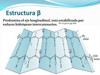 Estructura β
h= 0.32-0.34 nm
Predomina el eje longitudinal, está estabilizada por
enlaces hidrógeno intercatenarios.
 
