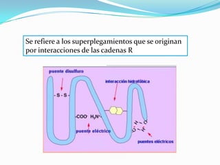 Se refiere a los superplegamientos que se originan
por interacciones de las cadenas R
 