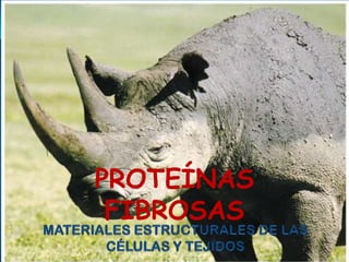 PROTEÍNAS
FIBROSAS
 