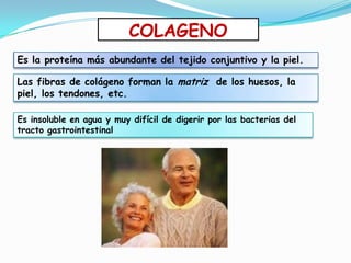 Es la proteína más abundante del tejido conjuntivo y la piel.
COLAGENO
Las fibras de colágeno forman la matriz de los huesos, la
piel, los tendones, etc.
Es insoluble en agua y muy difícil de digerir por las bacterias del
tracto gastrointestinal
 