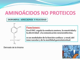 AMINOÁCIDOS NO PROTEICOS
Derivado de la tirosina
DOPAMINA: ADICCIONES Y FELICIDAD
C CO O
NH3
CH2
H
C
O H
O H
Funciones:
En el SNC: regula la conducta motora, la emotividad y
la afectividad y la comunicación neuroendócrina.
es un modulador de la función cardíaca y renal, del
tono vascular y de la motilidad gastrointestinal.
 