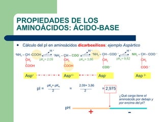 PROPIEDADES DE LOS AMINOÁCIDOS: ÁCIDO-BASE Cálculo del pI en aminoácidos  dicarboxílicos :  ejemplo Aspártico pK a = 2,09   pK R = 3,86   pK b = 9,82 Asp + Asp +/- Asp - Asp  2- + - ¿Qué carga tiene el aminoácido por debajo y por encima del pI? CH 2 COOH + NH 3  – CH -COOH H  + H  + H  + CH 2 COOH + NH 3  – CH –  COO   - CH 2 COO   - + NH 3  – CH - COO   - NH 2  – CH - COO   - CH 2 COO   - pI = = = 2,975 pK a + pK R 2 2,09+ 3,86 2 pH 