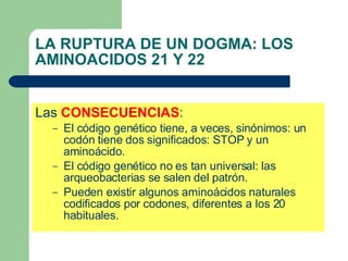 LA RUPTURA DE UN DOGMA: LOS AMINOACIDOS 21 Y 22 Las  CONSECUENCIAS : El código genético tiene, a veces, sinónimos: un codón tiene dos significados: STOP y un aminoácido. El código genético no es tan universal: las arqueobacterias se salen del patrón. Pueden existir algunos aminoácidos naturales codificados por codones, diferentes a los 20 habituales. 