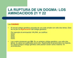 LA RUPTURA DE UN DOGMA: LOS AMINOACIDOS 21 Y 22 Las  CAUSAS : El actual código genético procede de uno más simple con sólo dos letras. Esto se ve por la  degeneración  del código genético: Por ejemplo el aminoacido VALINA, se codifica:  GUU  GUC  GUA  GUG  Los cuatro empiezan por  GU . En un anterior código genético, con sólo dos letras, la valina se codificaba como GU. Realmente la tercera letra no importa. En aquel antiguo código genético sólo podían existir cómo máximo 16 aminoácidos.  