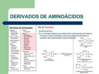 DERIVADOS DE AMINOÁCIDOS De la  Tirosina : Anfetamina Es una droga sintética que actúa como estimulante del sistema nervioso y como anoréxico y que se sintetizó buscando un sustituto ¡del antiasmático natural efedrina! 