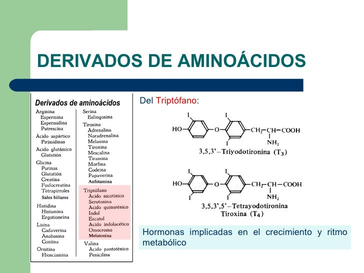 Ja Foram Descritos Centenas De Tipos De Aminoácidos