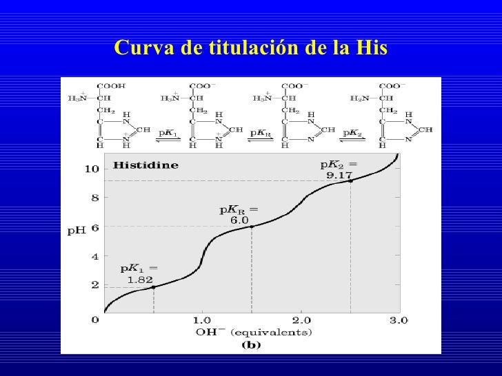 Aminoacidos y proteinas.