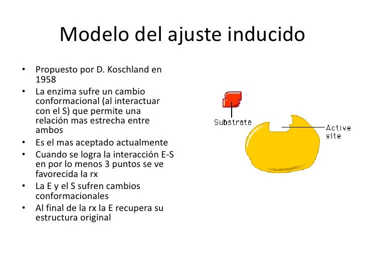 Aminoacidos y proteinas